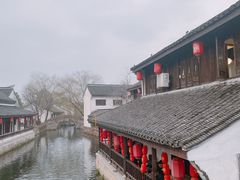 -鲁镇