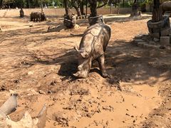 -西安秦岭野生动物园