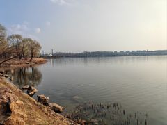 -丁香湖公园