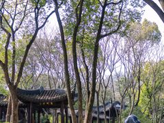 -上海佘山国家森林公园天马山园