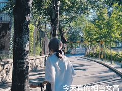 -斯多格书乡(北京大学畅春园店)
