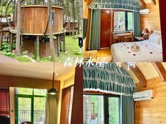 -洛阳白云山景区