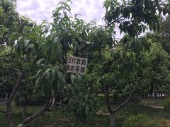 -木塔寺遗址生态公园