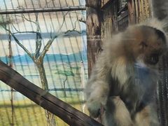 -昆明动物园