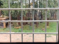 -横道河子东北虎林园