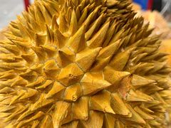 -壹家水货·小海鲜