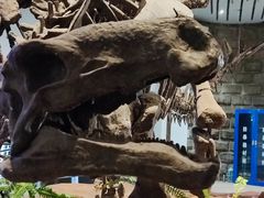 -自贡恐龙博物馆