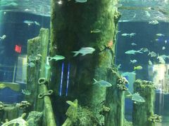 -福州罗源湾海洋世界旅游区