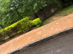 -青岛森林野生动物世界