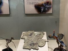 -辽宁古生物博物馆