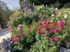 -人民公园(罗湖区)