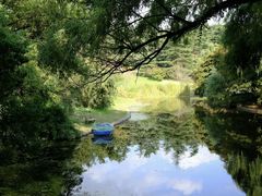 -上海共青森林公园