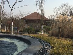 -东海森林温泉度假酒店