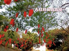 -深圳国际园林花卉博览园