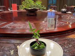 -东阳菜餐厅(世纪花城店)