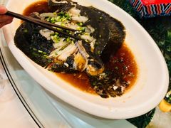 -百姓渔村(朝阳店)