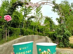 -洛阳宴·洛阳菜(南昌路店)