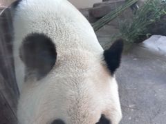 -宁波野生动物园
