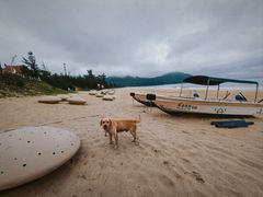 -西涌国际滨海旅游区