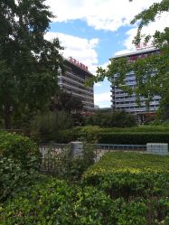 -首都医科大学附属北京儿童医院