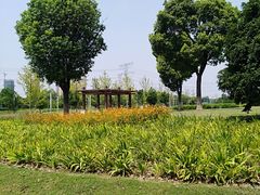 -九里河湿地公园