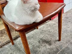 -中江挂面体验馆(鑫源小区店)