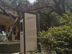 -重庆抗战遗址博物馆