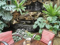 -Fern Forest Cafe