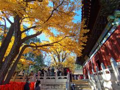 -红螺寺