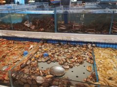 -一方渔歌蒸汽海鲜自助(文化路万达广场店)