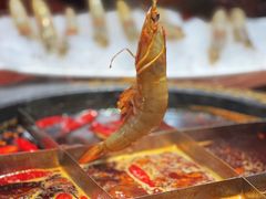 -黄家码头老火锅(解放碑旗舰店)