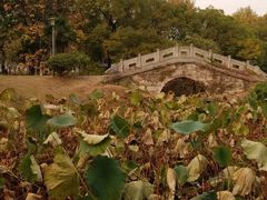 -太子山公园(园东路)
