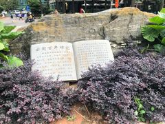 -云南省图书馆