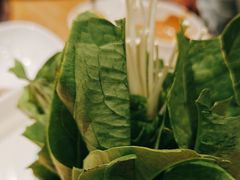 -百草滩羊清水涮羊肉(长城路店)