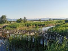 -野鸭湖国家湿地公园