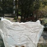 保持土壤湿润，待长到3～4寸左右就可以移植到花园里