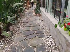 -桉树林A coffee 森林餐厅(三圣乡店)