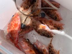 -胖大嫂渔家排档·全海景餐厅(渔村店)