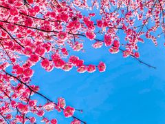 -南京市江宁方山