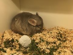 -龙猫仔乐园(惠福东路店)