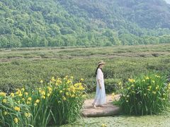 -中国茶叶博物馆(双峰馆区)