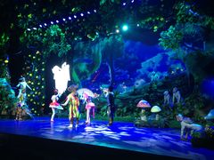 小鸟表演-横店影视城梦幻谷园区
