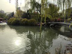 -西苑公园