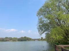 -苏州太湖国家湿地公园
