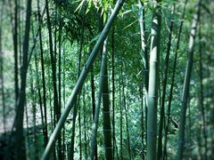 -藏龙百瀑风景区