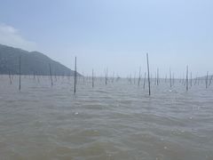 -北岐滩涂