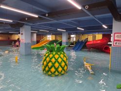 -宝燕乐园(闵行旗舰店)