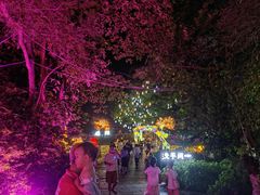 -广西壮族自治区药用植物园