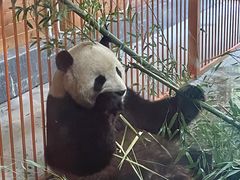 -云南野生动物园