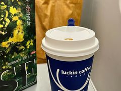 -瑞幸咖啡(深圳北高铁站内部店-B12检票口二楼)